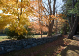 The Black House Drive in Autumn