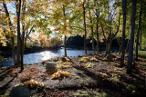 Autumn Morning by the Union River