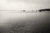 Fog and Boats, Union River Bay #1