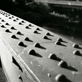 Rideau Bridges