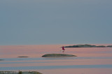 En segelkanot passerade i det sista kvällsljuset.