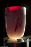 vas i glas