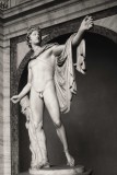 Apollo of the Belvedere -Vatican Museum