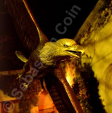 Sedona - Eagle.jpg