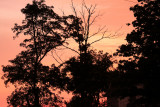 Sunset after the storm