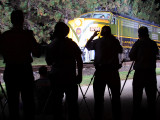 Photographers at work 