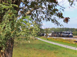 NS 111 gets back on the move at Bowen, after stopping to let 23G run around.