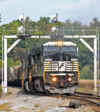 A former CR Dash-8 leads NS 111 as they get on the move at Bowen 