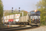Southbound pigs