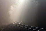 Early morning rails
