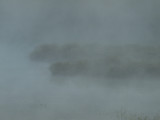 Morning Mist