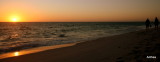 lovers walking the beach