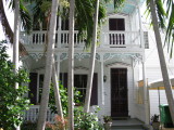 Palms & beautiful house