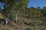 Lawn Hill National Park