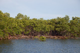 Gabon-114.jpg