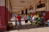 _MG_8665.jpg