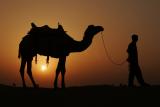 Sunset - Thar Desert, India