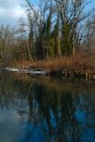 Reflection on the Arve river #1