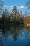 Reflection on the Arve river #2