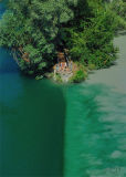 DSC3756.jpg