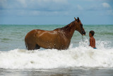 On the beach...