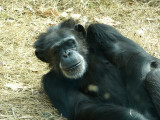 P1020100.JPG