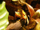 P1020187.JPG