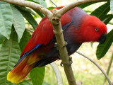 P1020201.JPG