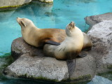 P1020320.JPG