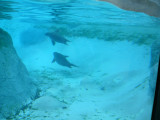 P1020342.JPG