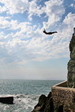 7th Place<br>The Diver<br>by CJ in CA