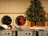 Festive!