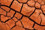Dry season