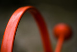11th Place <br>The red watering can<br>by Barbara Corvino
