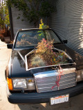 Heres a Green Vehicle! ;-)