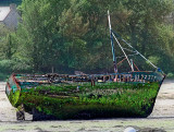 Mossy Boat