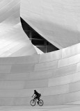 Second Place <br>Disney Hall<br>by Paul Sumi