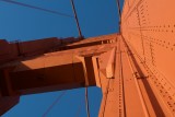 International Orange