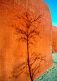 A Wall in Winter
