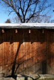 Rough Cut Cedar Siding