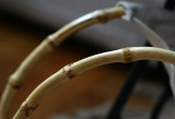 Bamboo Curves