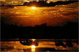 At The End Of The Day........The Sun Still Rises
