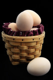 Dont put all of your eggs in one basket