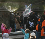 His Bubble Burst