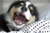 Laughter Is The Best Medicine