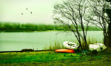 Slow Waters in the Green Fog