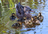 Family Outing