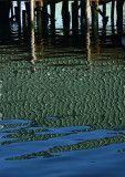 Under the Pier