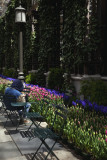 Lunch in Bryant Park