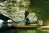 6th Place (tie) <br>(Not in) Water Reflections<br> by kyagudin